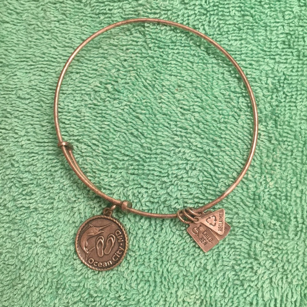 Silver Alex and ani bracelet